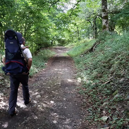 Petit De Montagne Avec Jardin Et Terrasse * Cazaux-Layrisse