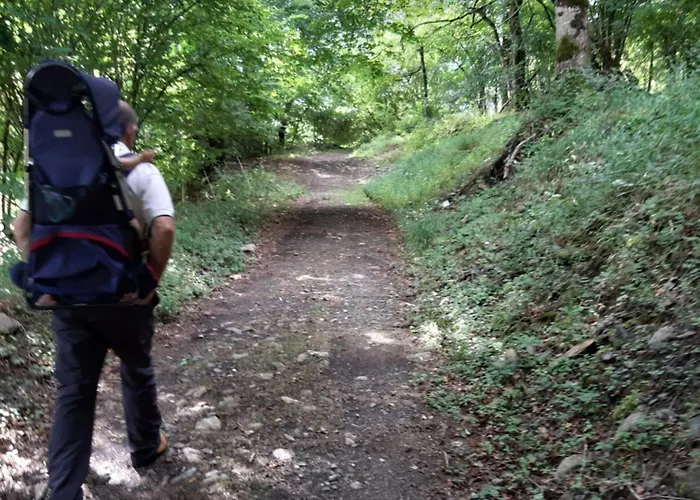 Petit De Montagne Avec Jardin Et Terrasse * Cazaux-Layrisse